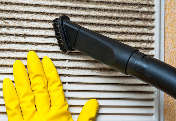 Best Dryer Vent Cleaning Services  in Ferndale, CA